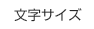 文字サイズ